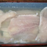 Pangasius