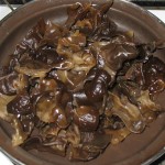Ciuperci urechi de lemn