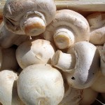 Ciuperci champignon