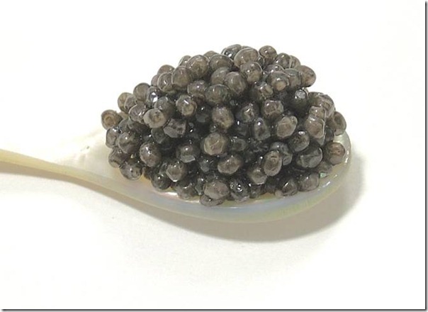 Beluga - caviarul iranian
